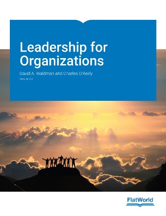 Test Bank for Leadership for Organizations Version 2.0 Waldman