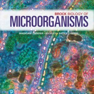 Test Bank for Brock Biology of Microorganisms 16th Edition Madigan