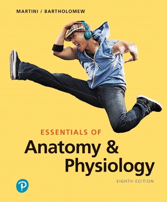 Test Bank for Essentials of Anatomy and Physiology 8th Edition Martini