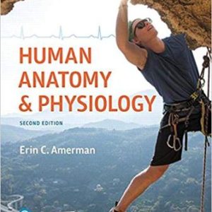 Test Bank fo Human Anatomy and Physiology 2nd Edition Amerman