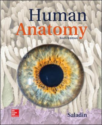 Test Bank for Human Anatomy 6th Edition Saladin